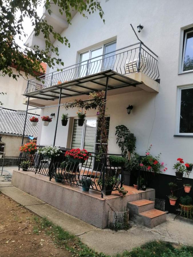 Apartment Mihajlovic Vranje Exterior foto
